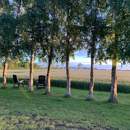 Stunning Romantic Cabin Close To Baltic See Idestrup Zewnętrze zdjęcie